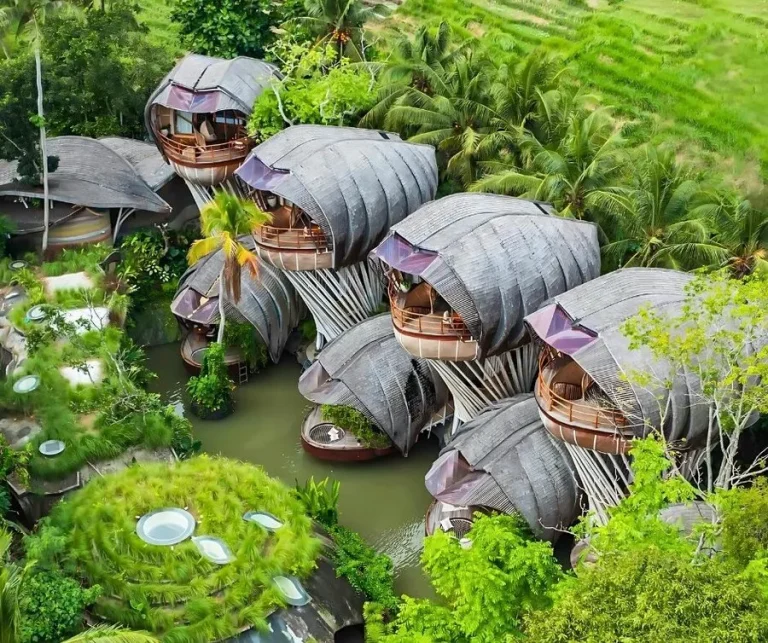 Luxury Eco Resorts: Ultimate Sustainable Escapes